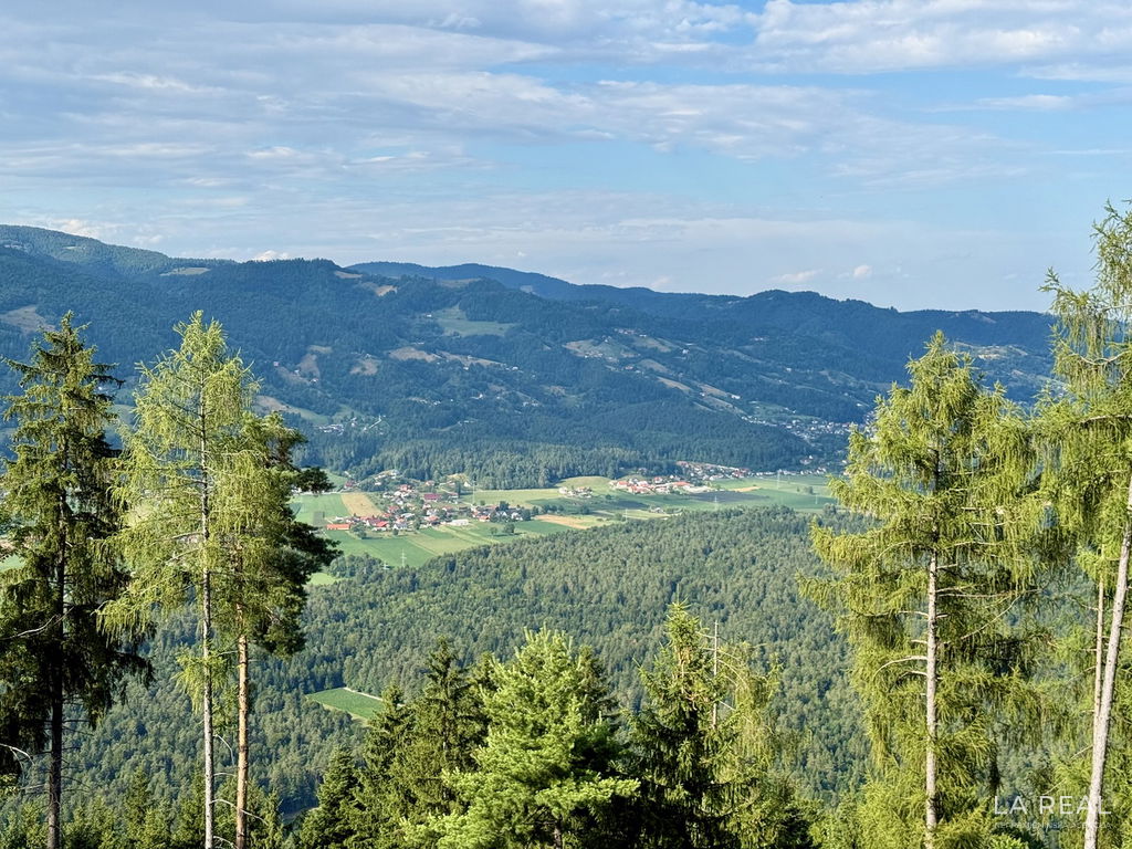 00smolnik-25he8icwbu-1600x1200__68f73b246f0f4