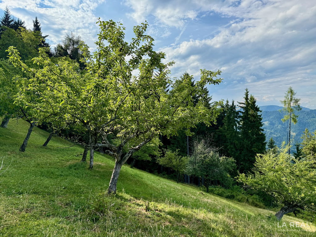 00smolnik-26yy87hcic-1600x1200__68f73b2398118