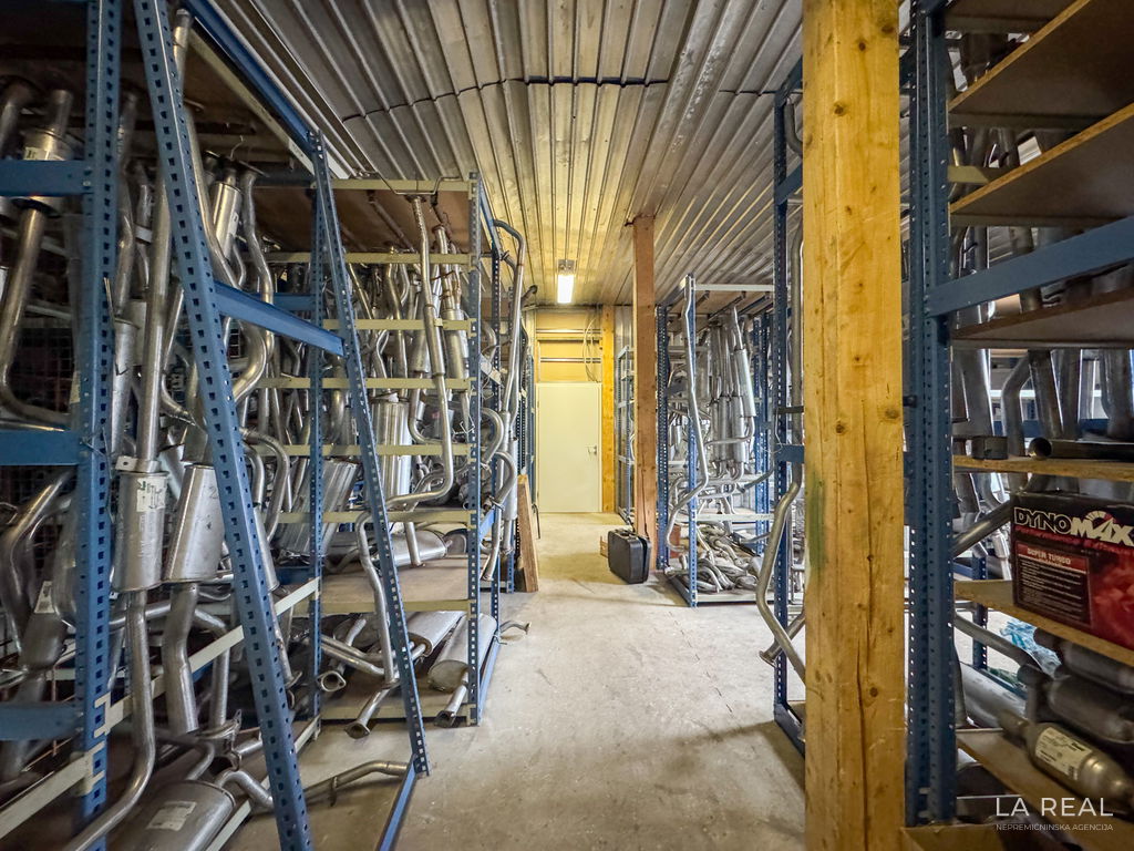 15__CY29bPug-4032x3024