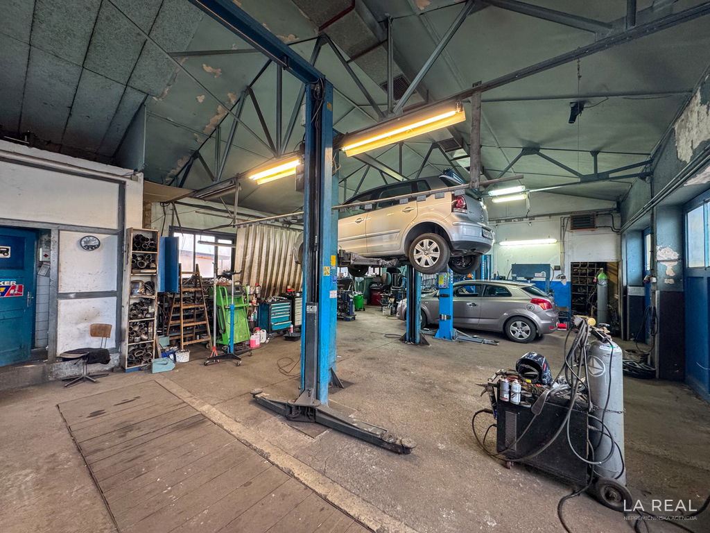 17__QSV5jCrp-4032x3024