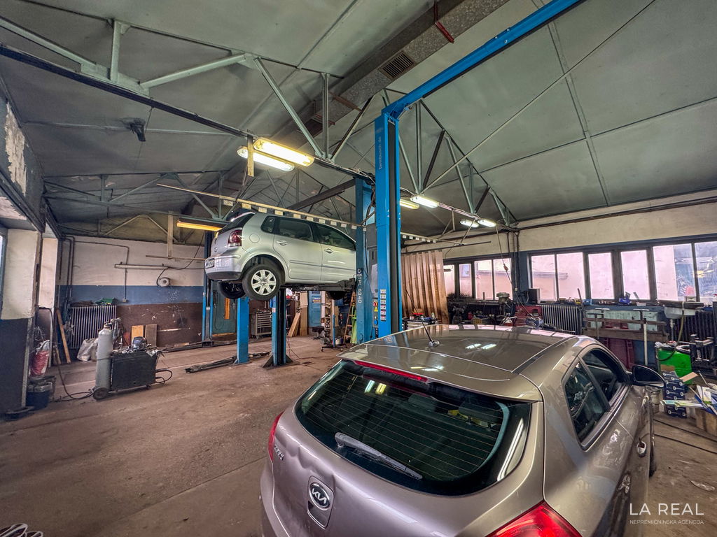 18__imOQ5tcV-4032x3024