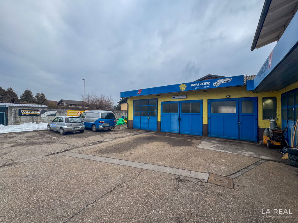 3__MP6QAzyA-4032x3024