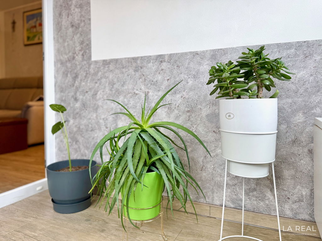 e1-27__0KxMvHJa-1900x1425