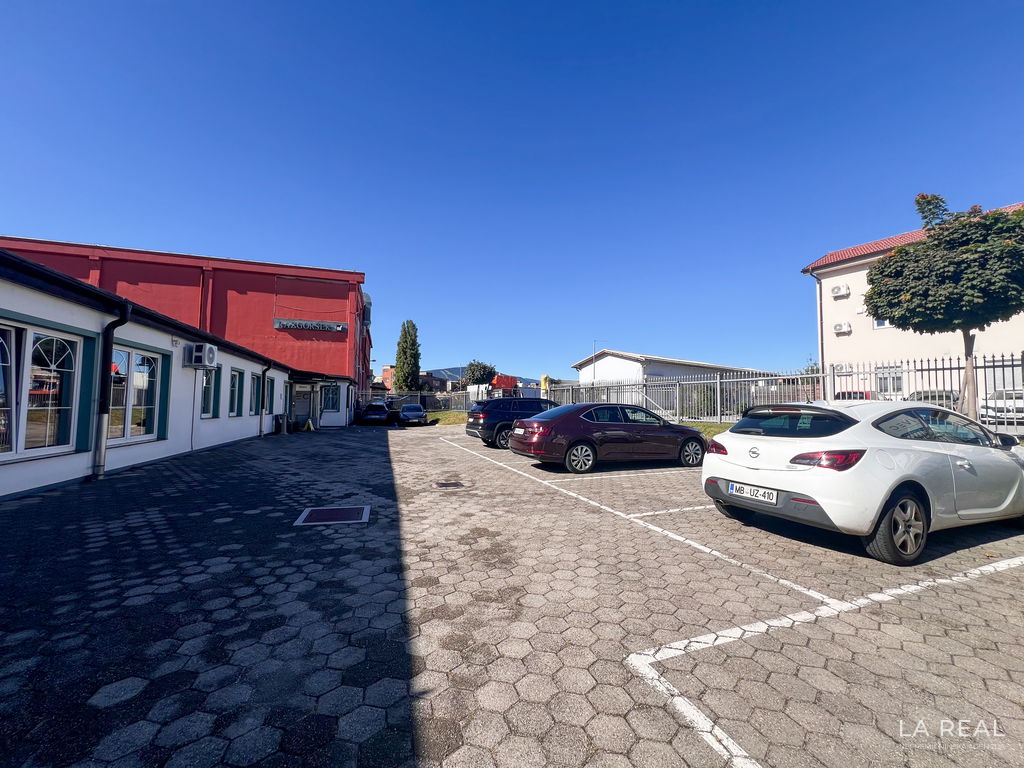 img-3309-26bfv9apvb__66ebf899b995f