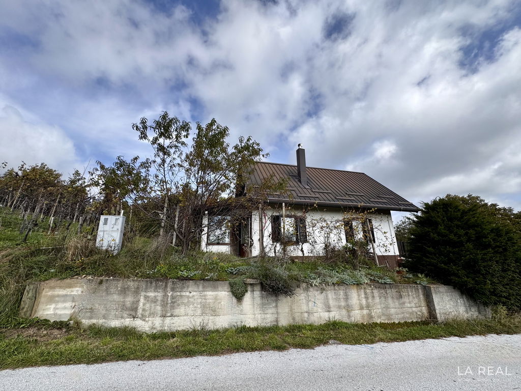 img-5836g5clhafw-4032x3024__6980758840399