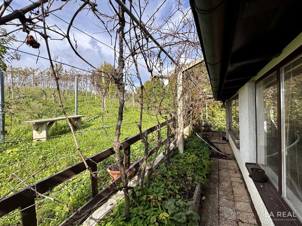 img-584758yhfdil-4032x3024__6980759b360f9