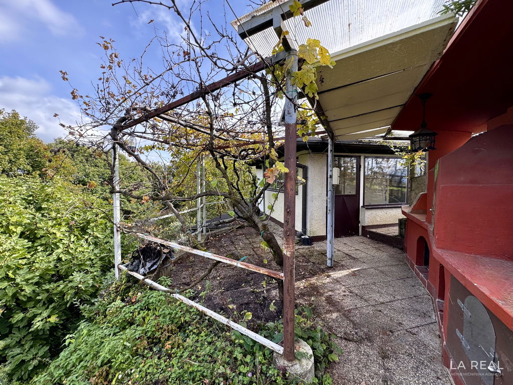 img-5885pjxapbxg-4032x3024__6980758922036