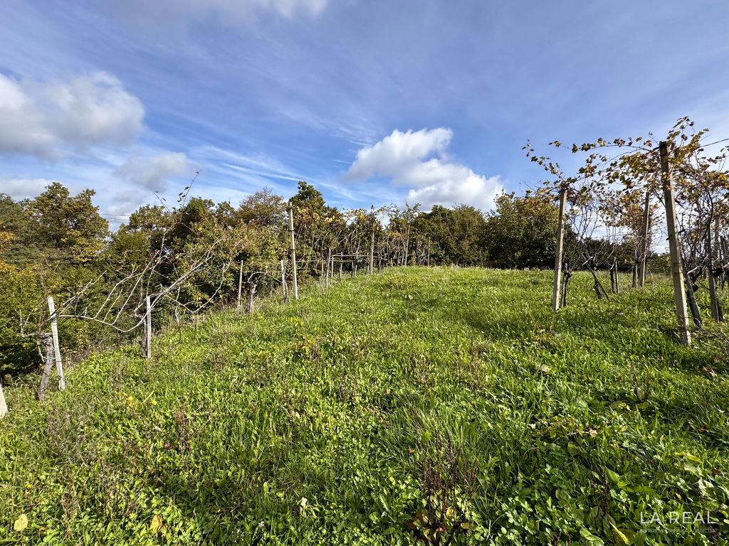 img-5945dv2aadm2-4032x3024__6980758a3404d