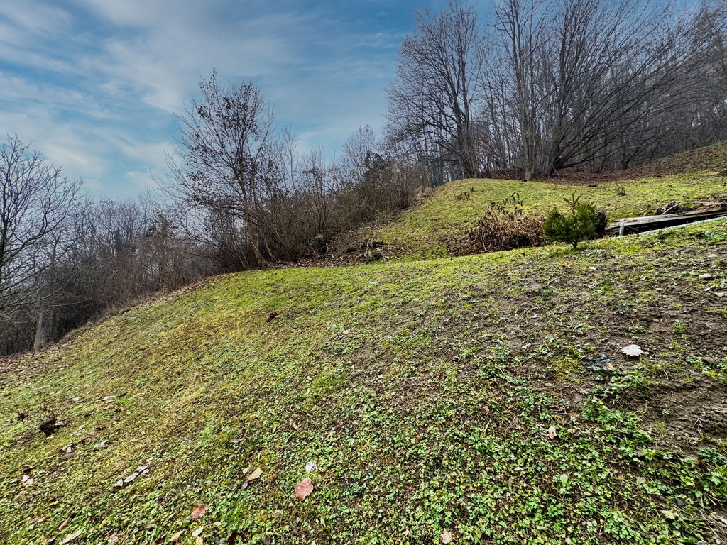 img-7195__lg6uQUJ0-1900x1425