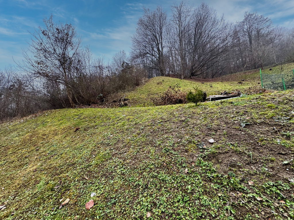 img-7196__tdoFpUlF-1900x1425