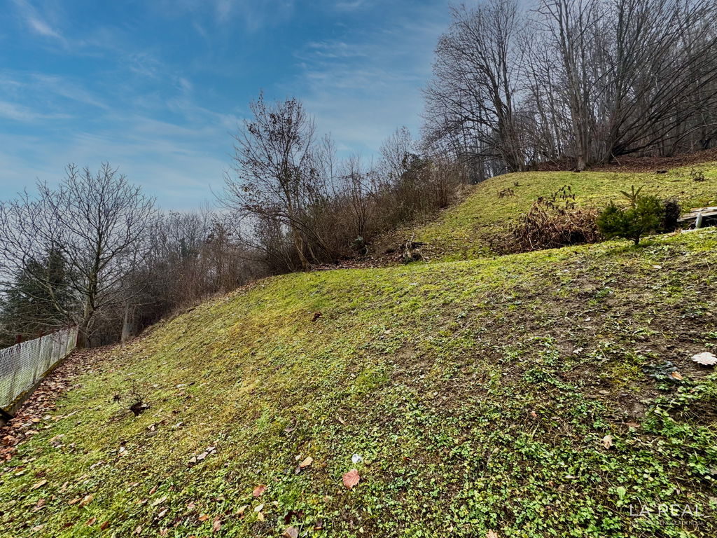 img-7197__A5TWHE2V-1900x1425