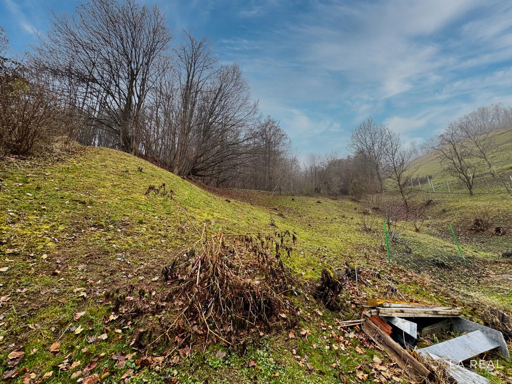 img-7202__rvEAZVkL-1900x1425