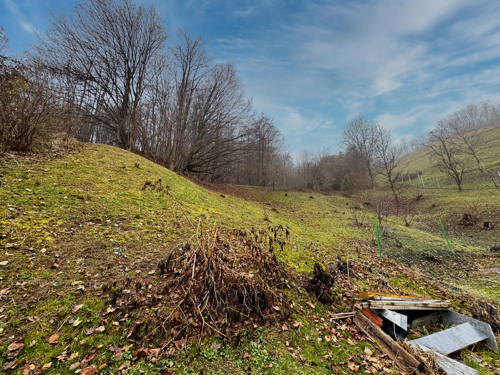 img-7202__rvEAZVkL-1900x1425