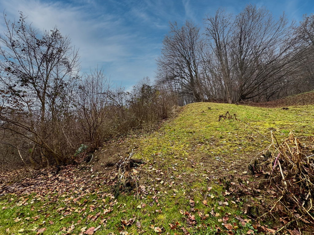 img-7204__Kf5yzFPb-1900x1425