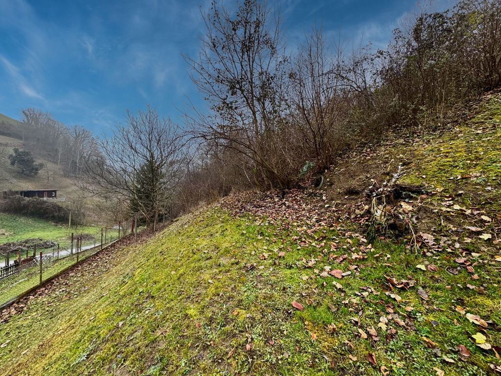 img-7206__eeeGrwRq-1900x1425