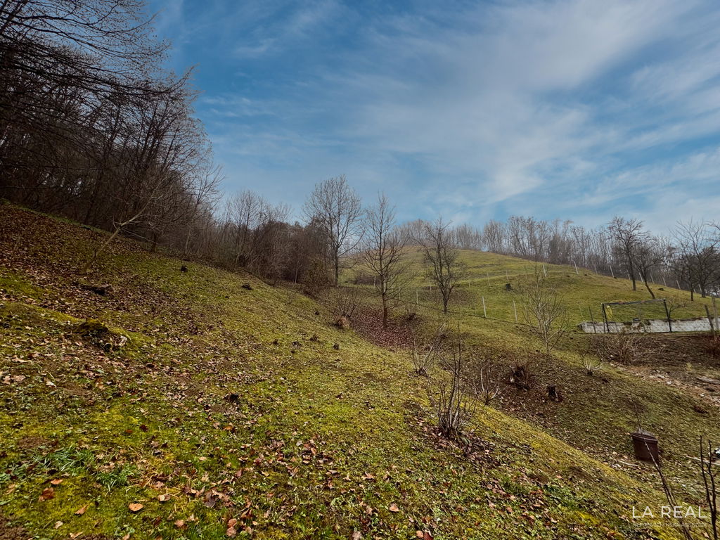 img-7216__exCrtDj4-1900x1425