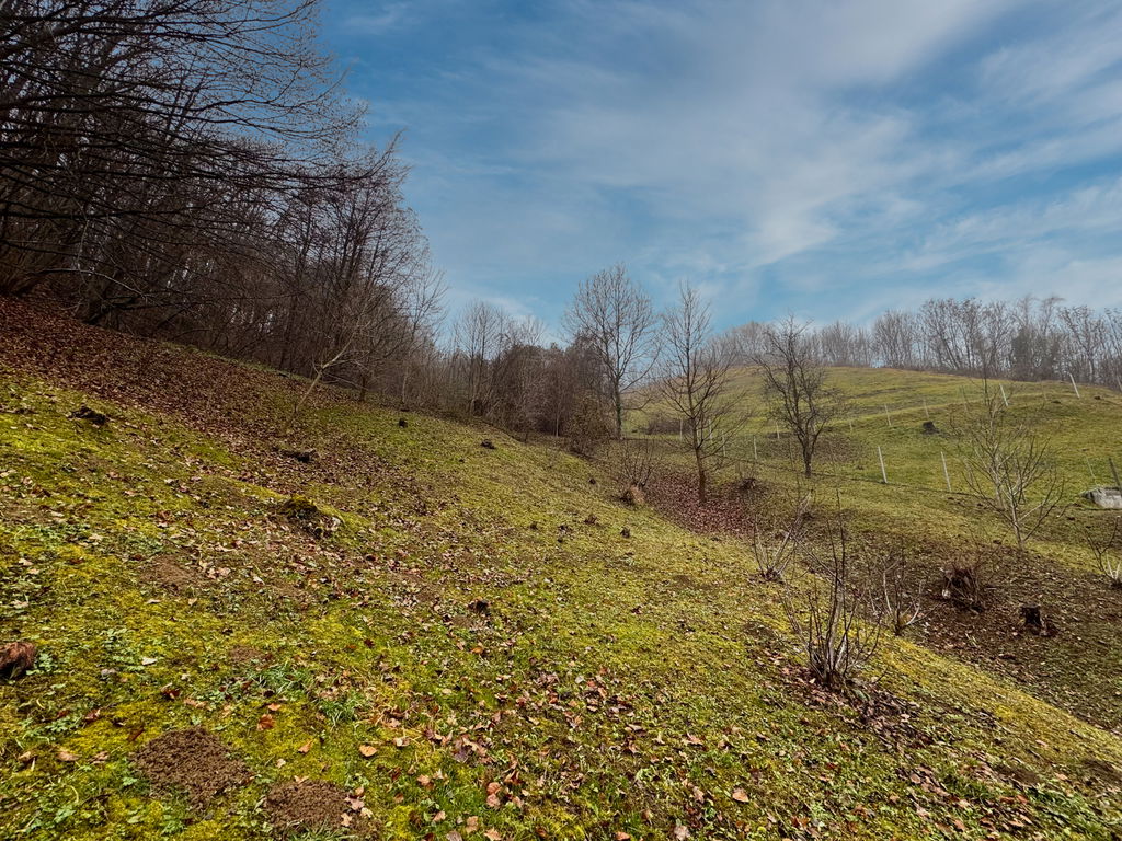 img-7217__za9iwENR-1900x1425