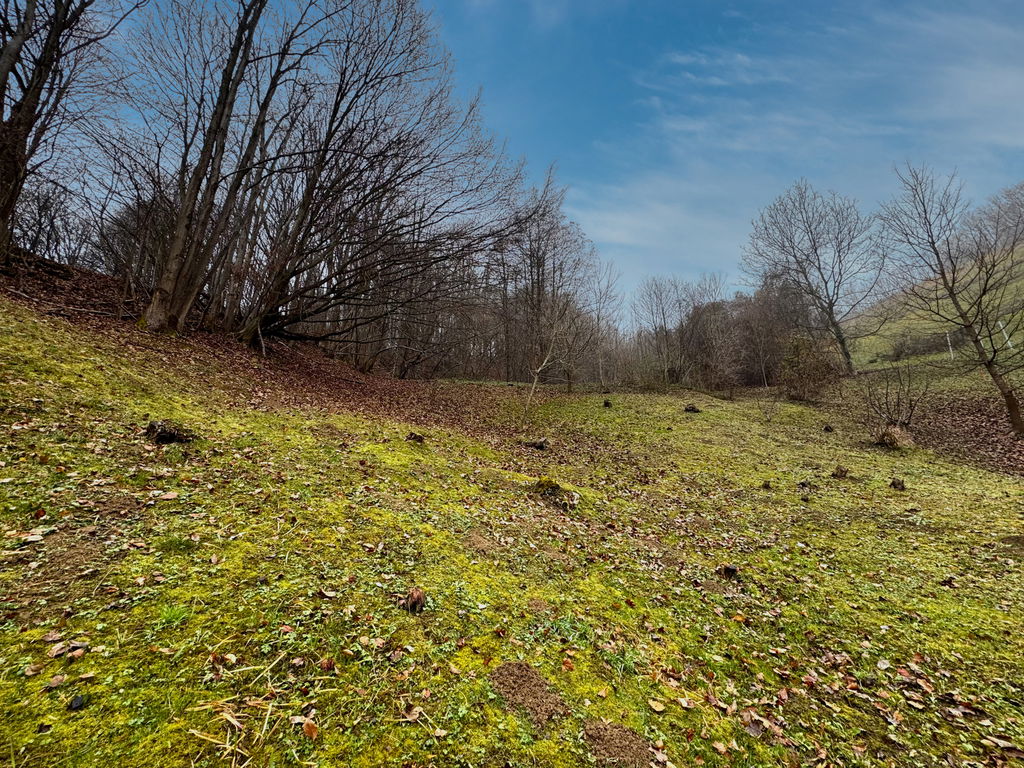 img-7218__dvhilebV-1900x1425