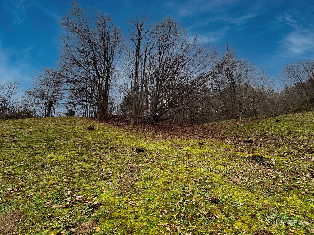 img-7219__4lRsSI9o-1900x1425