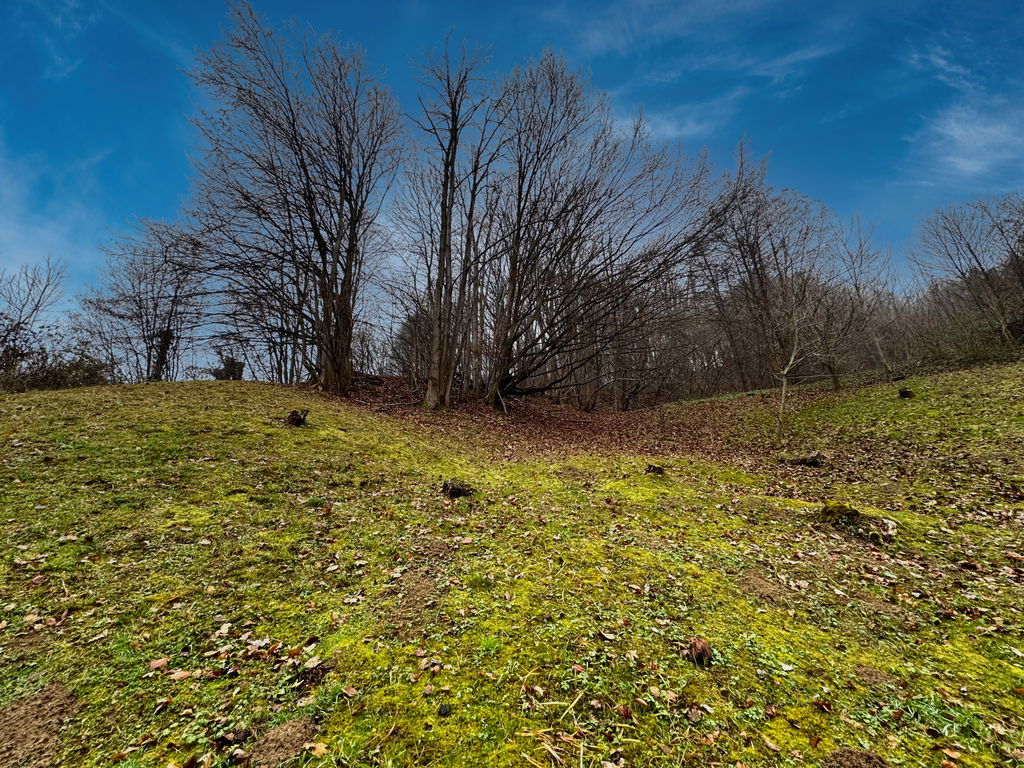 img-7219__ZjkZHFhg-1900x1425