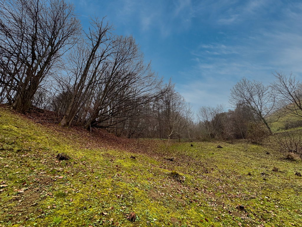 img-7221__KguNGcVU-1900x1425