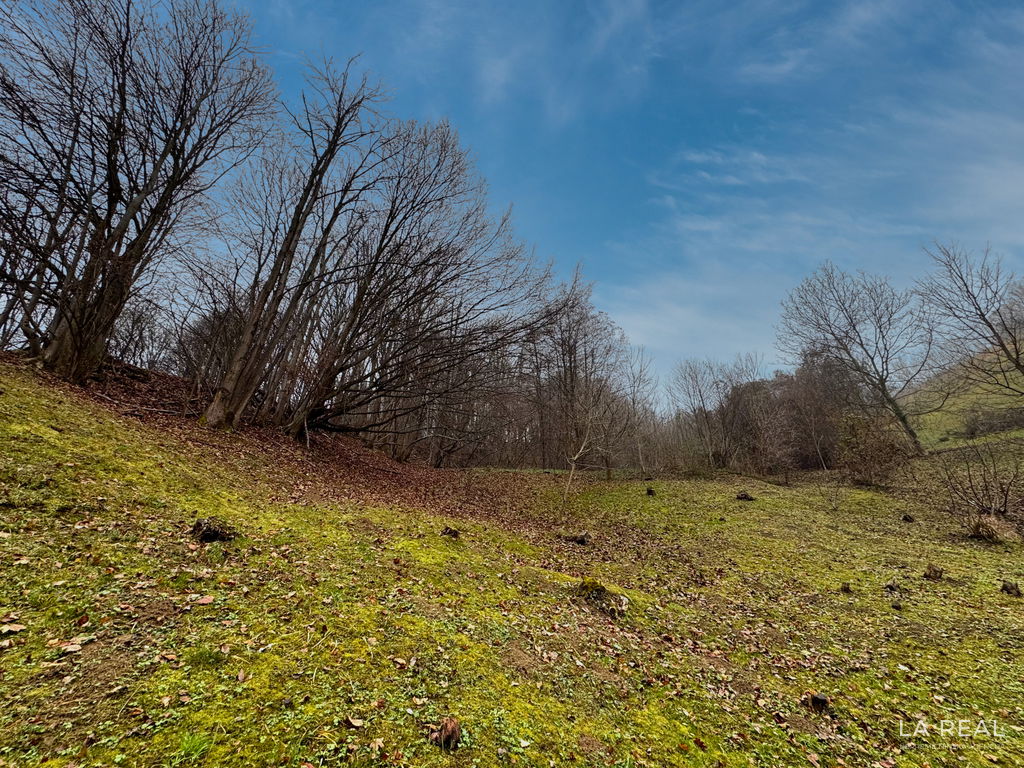 img-7221__e6SK8Syi-1900x1425