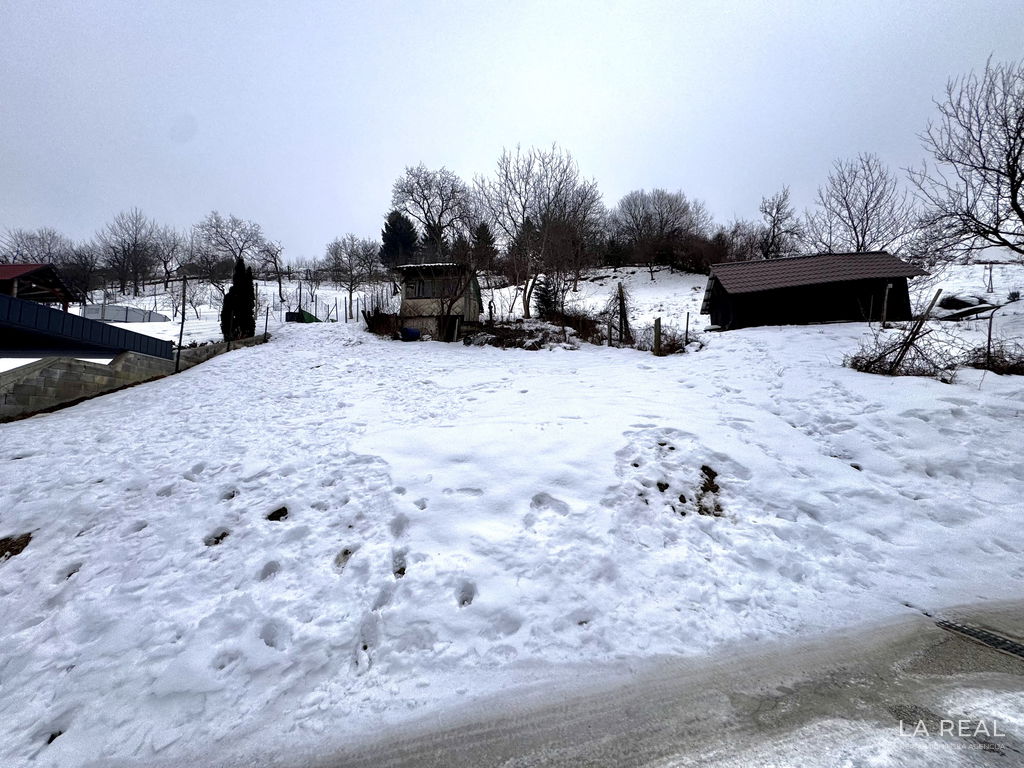 img-7863__rxWN4IwN-4032x3024