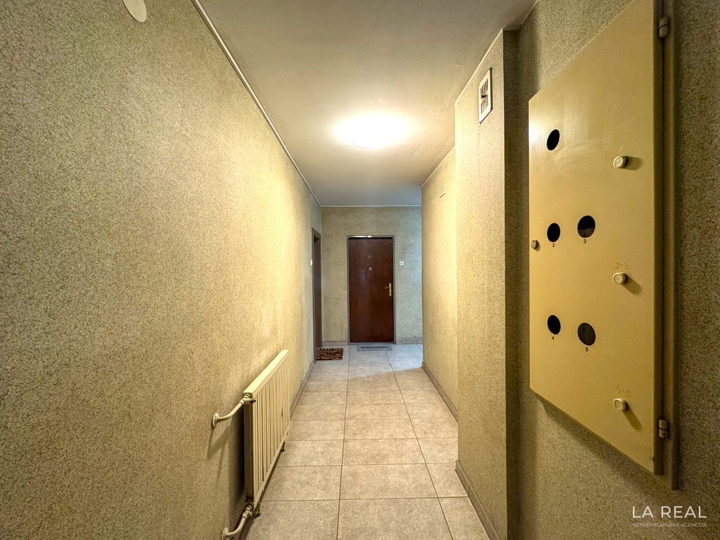 22__AWks4p3P-4032x3024