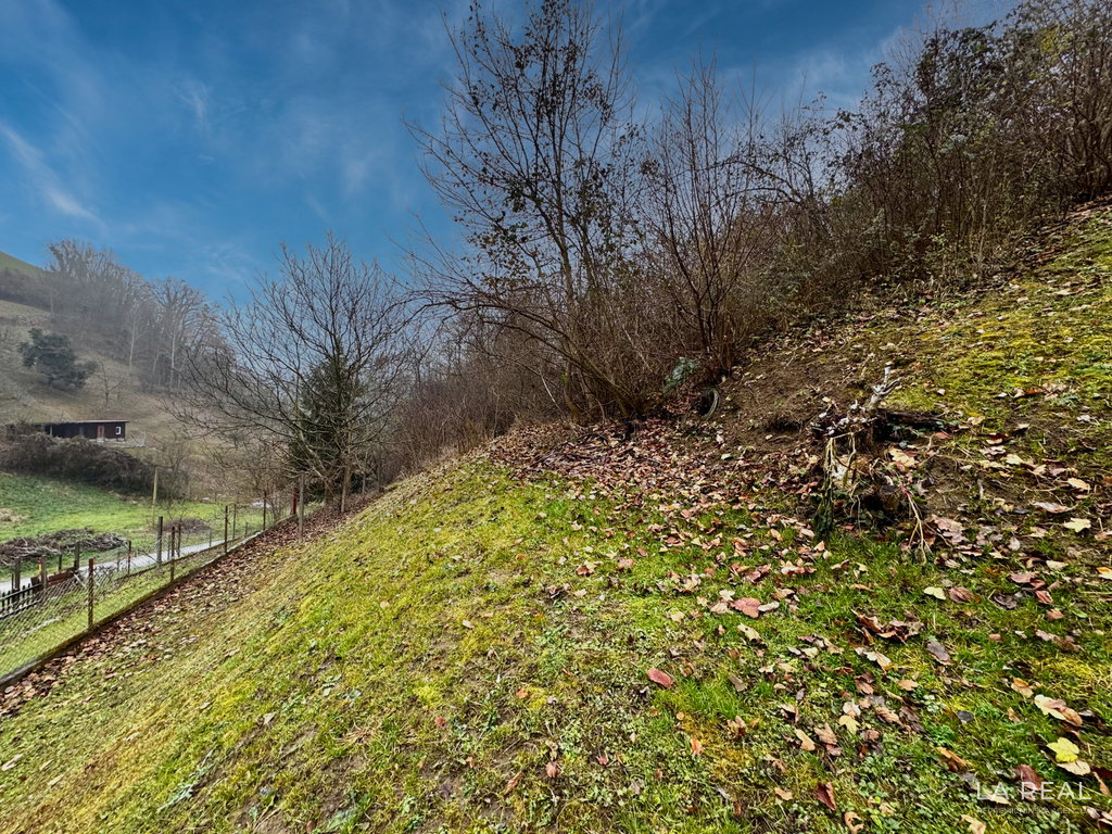 img-7206__eeeGrwRq-1900x1425