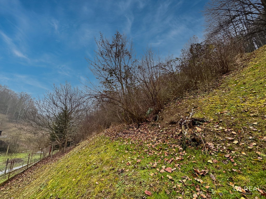 img-7208__9oGl9rqH-1900x1425