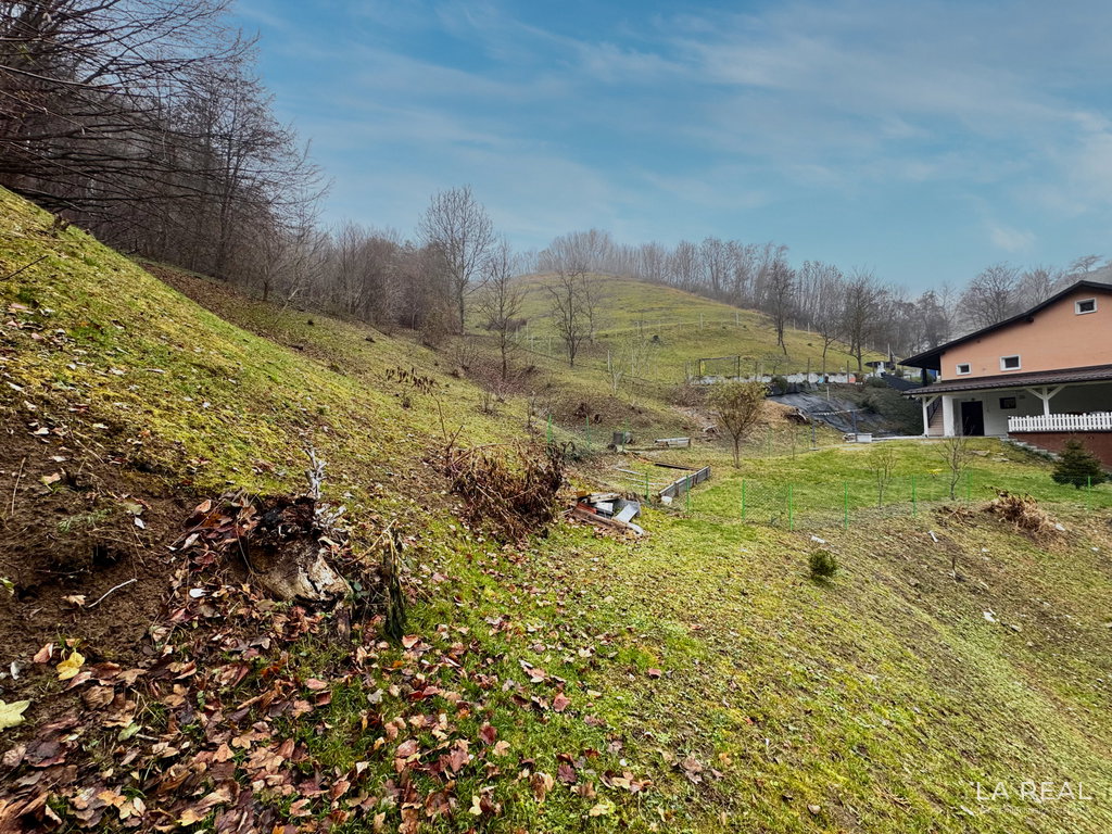 img-7213__RkGjHQUh-1900x1425