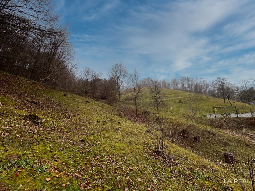 img-7216__exCrtDj4-1900x1425