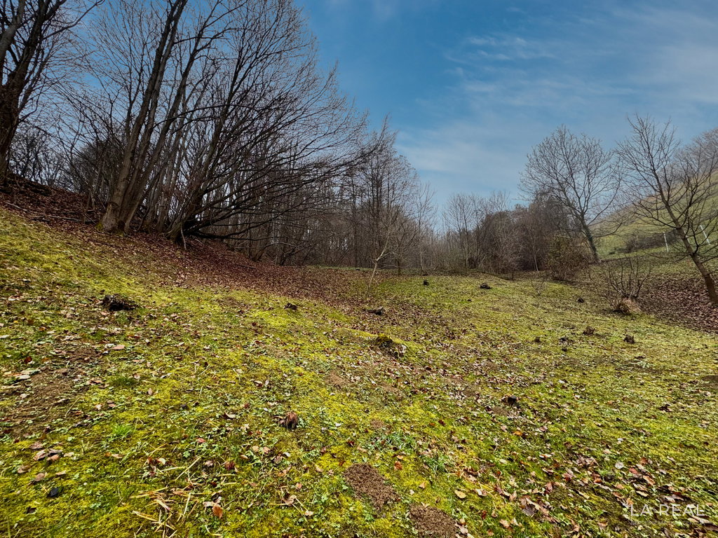 img-7218__62wwJcet-1900x1425