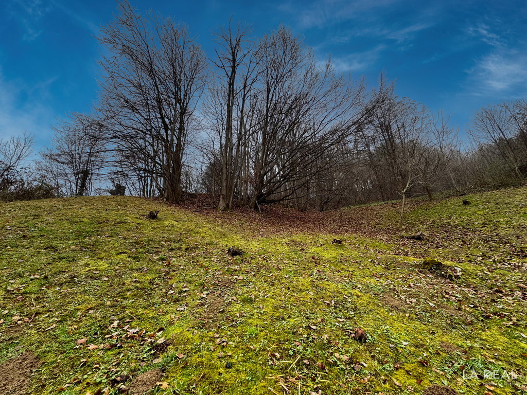 img-7219__4lRsSI9o-1900x1425