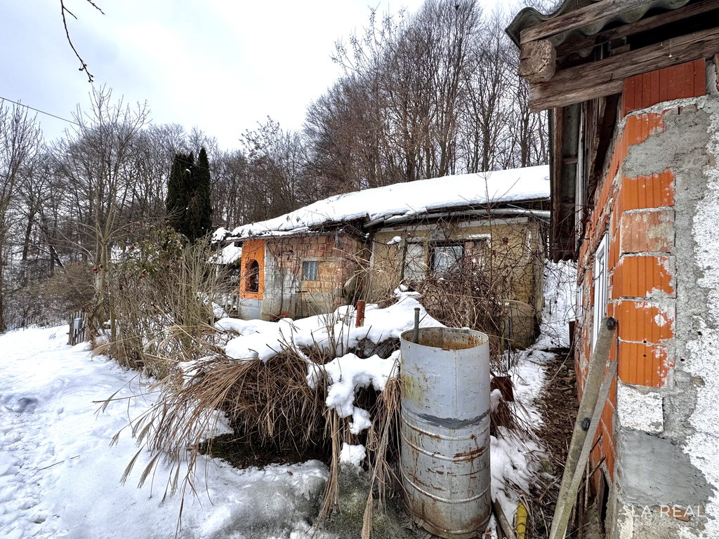 img-7804__nQtUYedu-3660x2745