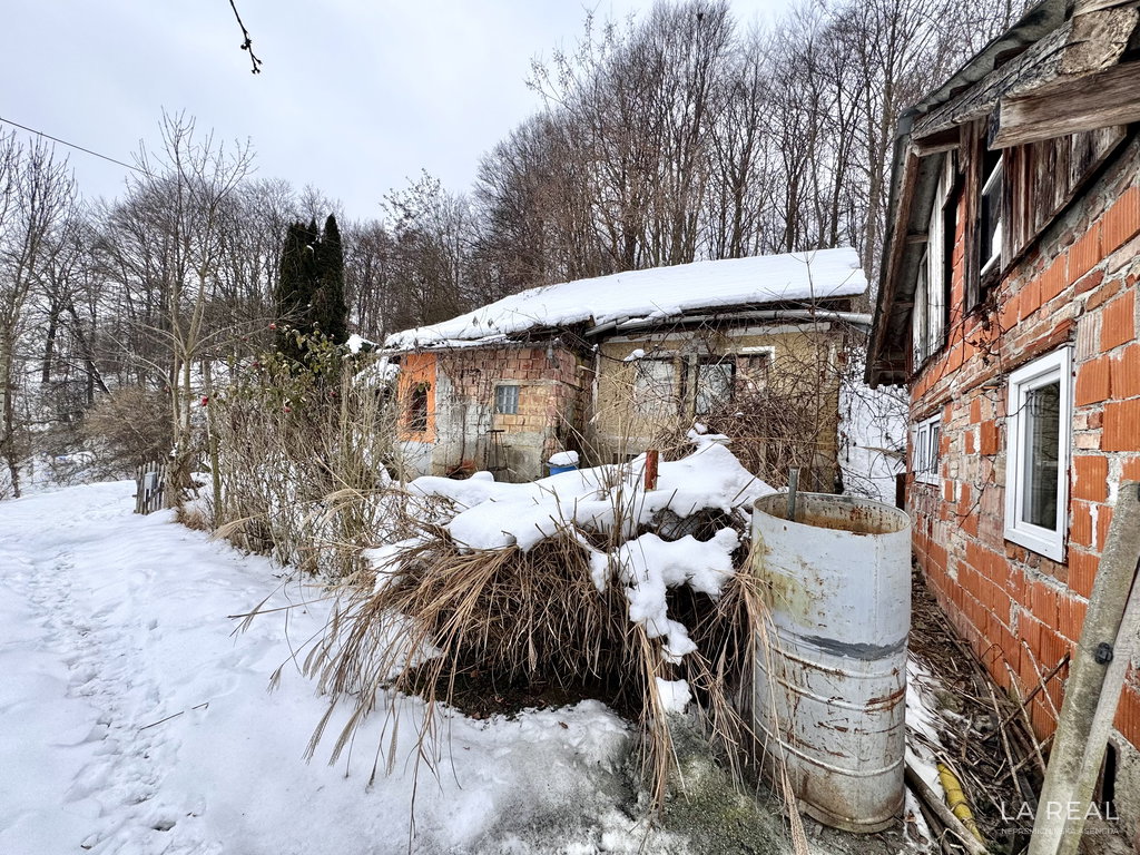 img-7806__Ge5epYmH-4032x3024