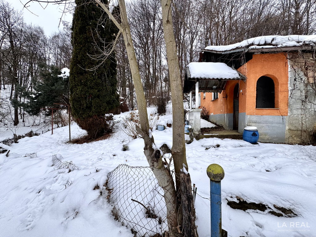 img-7810__xwKIzduv-4032x3024