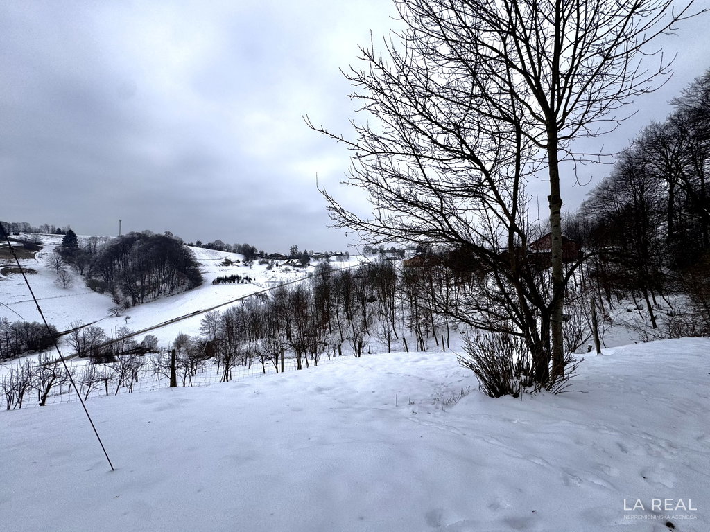 img-7814__VPsrDj1Z-4032x3024