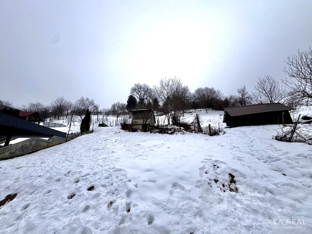 img-7860__B6ZXsAR2-4032x3024