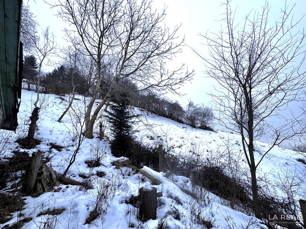 img-7872__fmmvUJdv-4032x3024