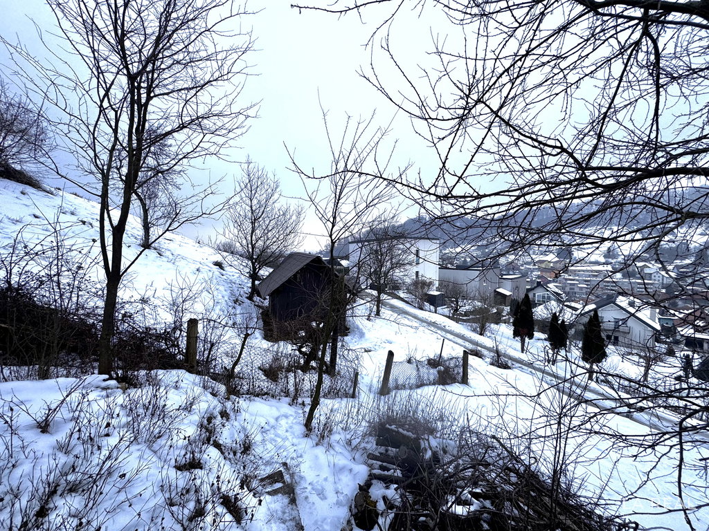 img-7875__4w5FIZtG-4032x3024