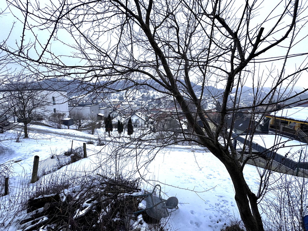 img-7876__qKL7zkIu-4032x3024