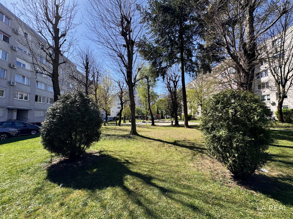 img-9721__pMTckbrA-4032x3024