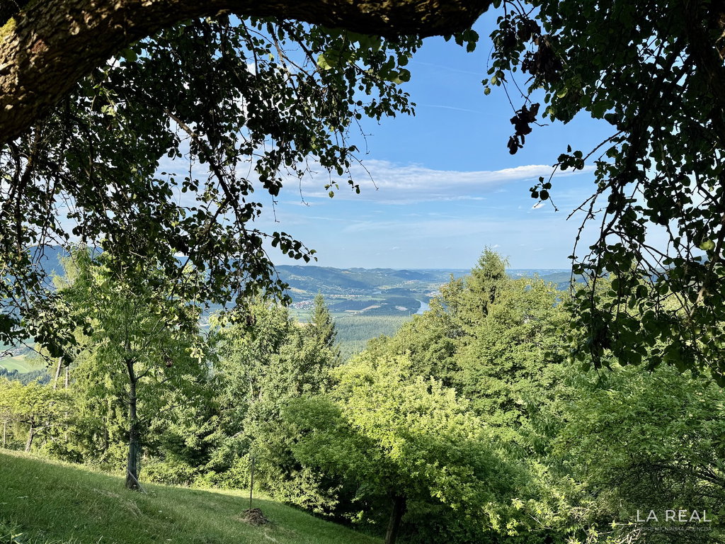 00smolnik-22__7hdWsMFY-1600x1200