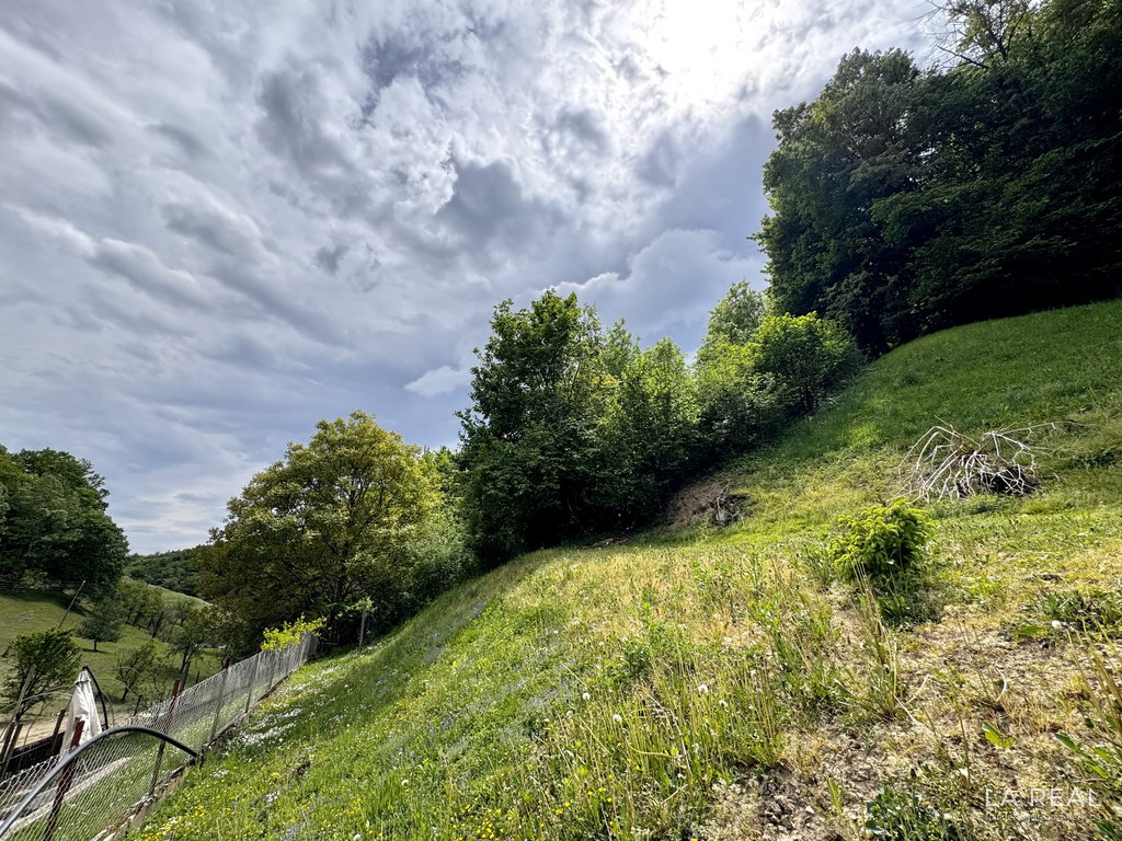 img-0838__YsgoXLvM-4032x3024