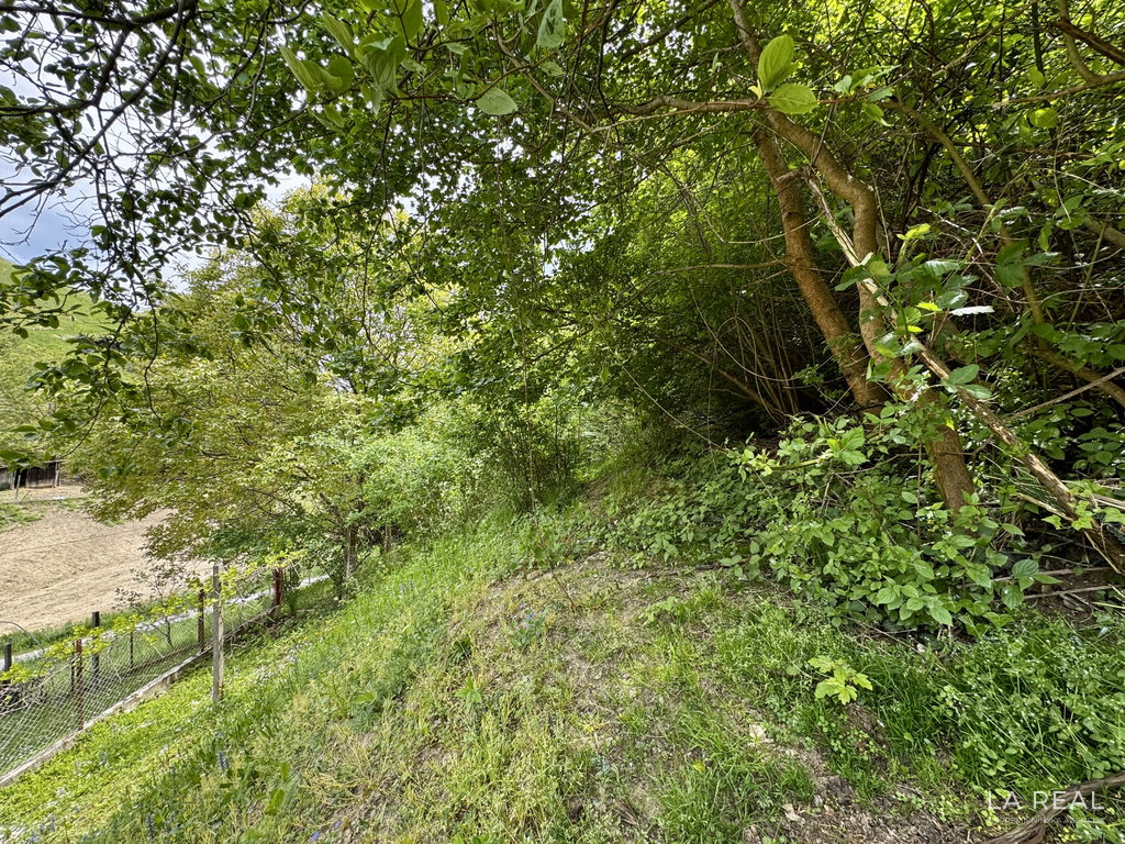 img-0857__1Ng2dxbd-4032x3024