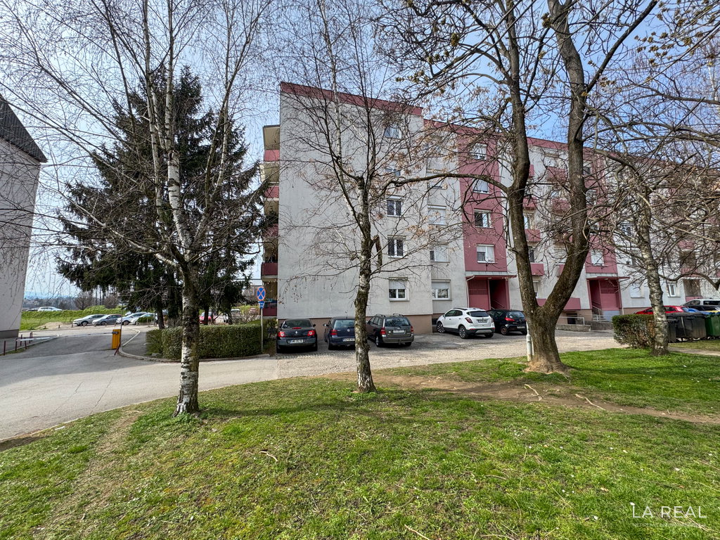 29__qyVT8xic-4032x3024