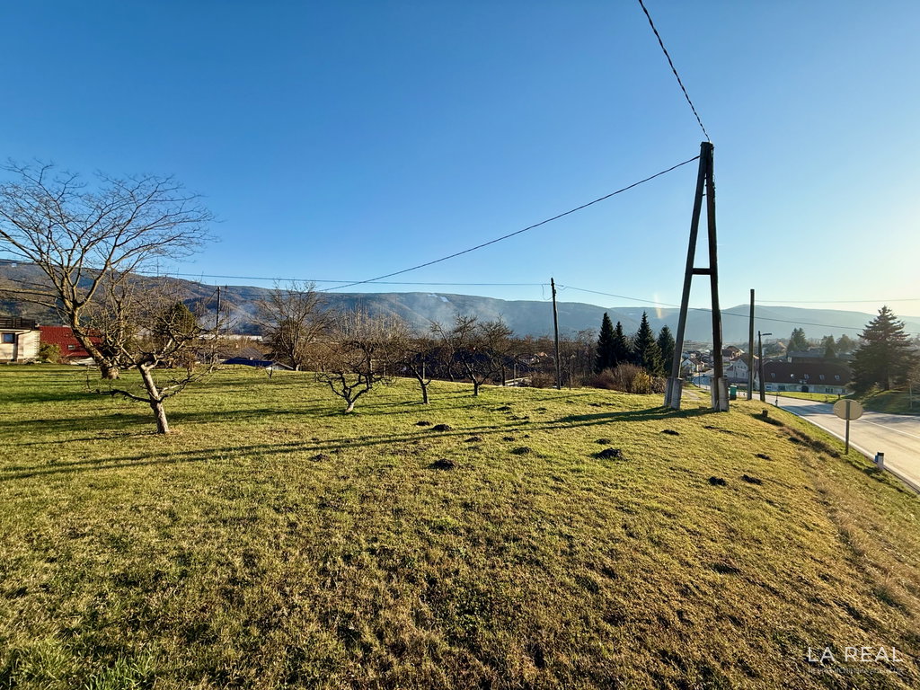 photos-19__D1ngW3cj-4032x3024
