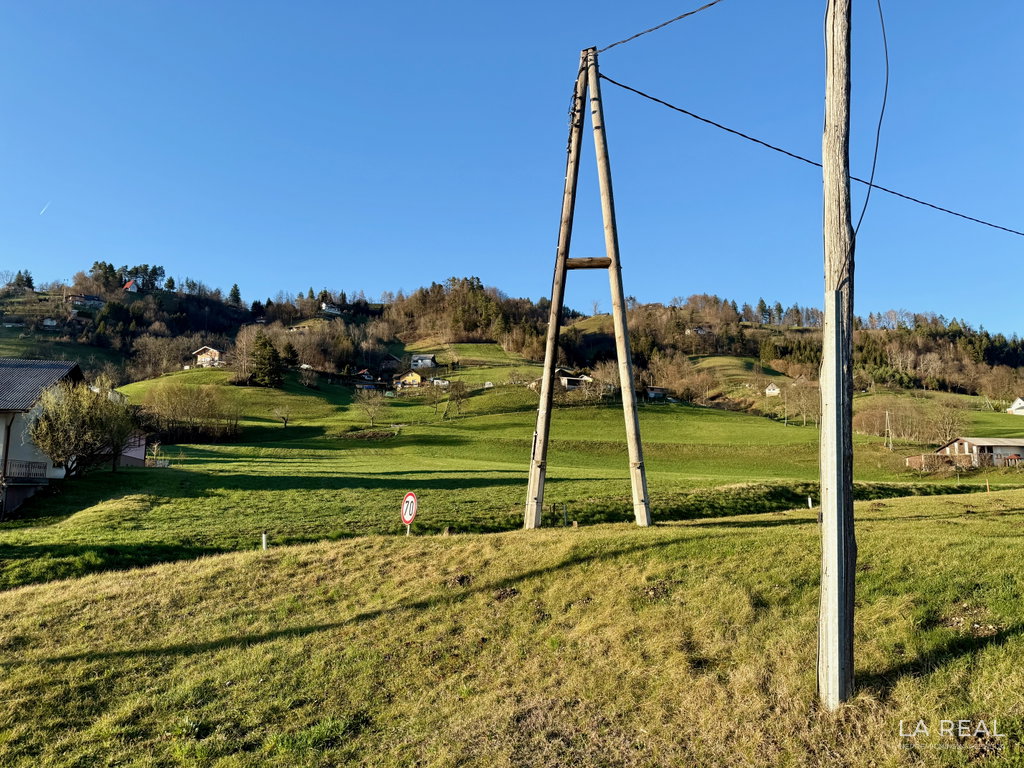 photos-29__2XIRtP2M-5712x4284