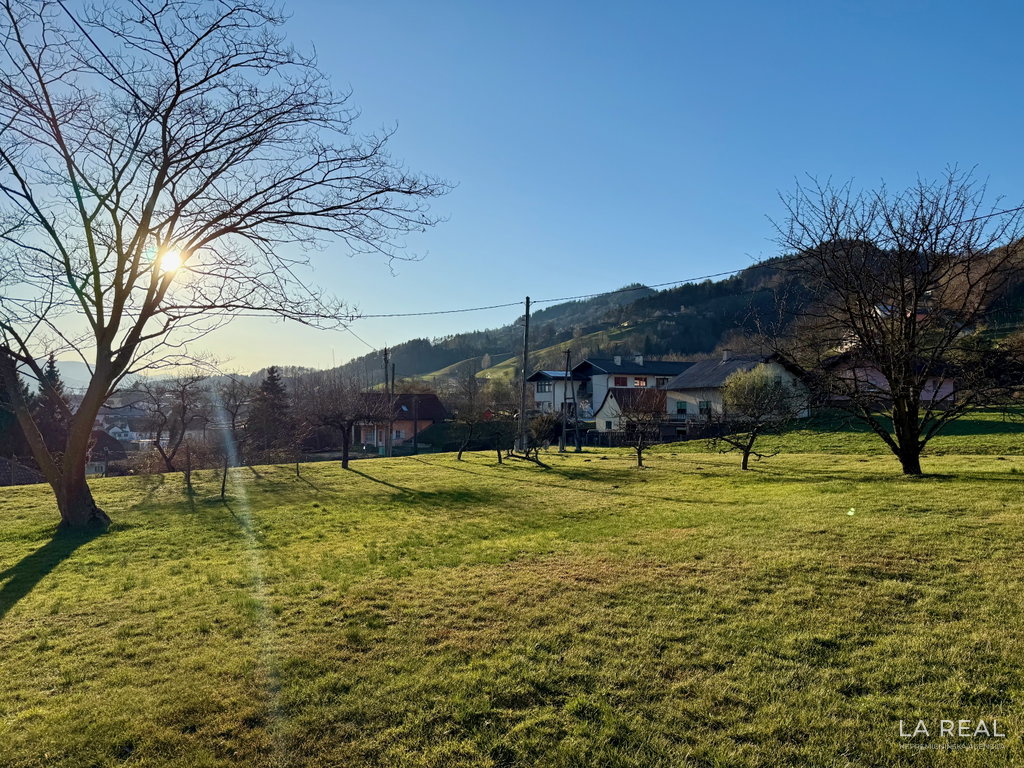 photos-9__xHa5PVaI-5712x4284